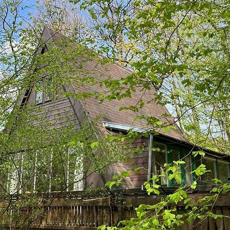 Chalet Du Bois Villa Durbuy Buitenkant foto